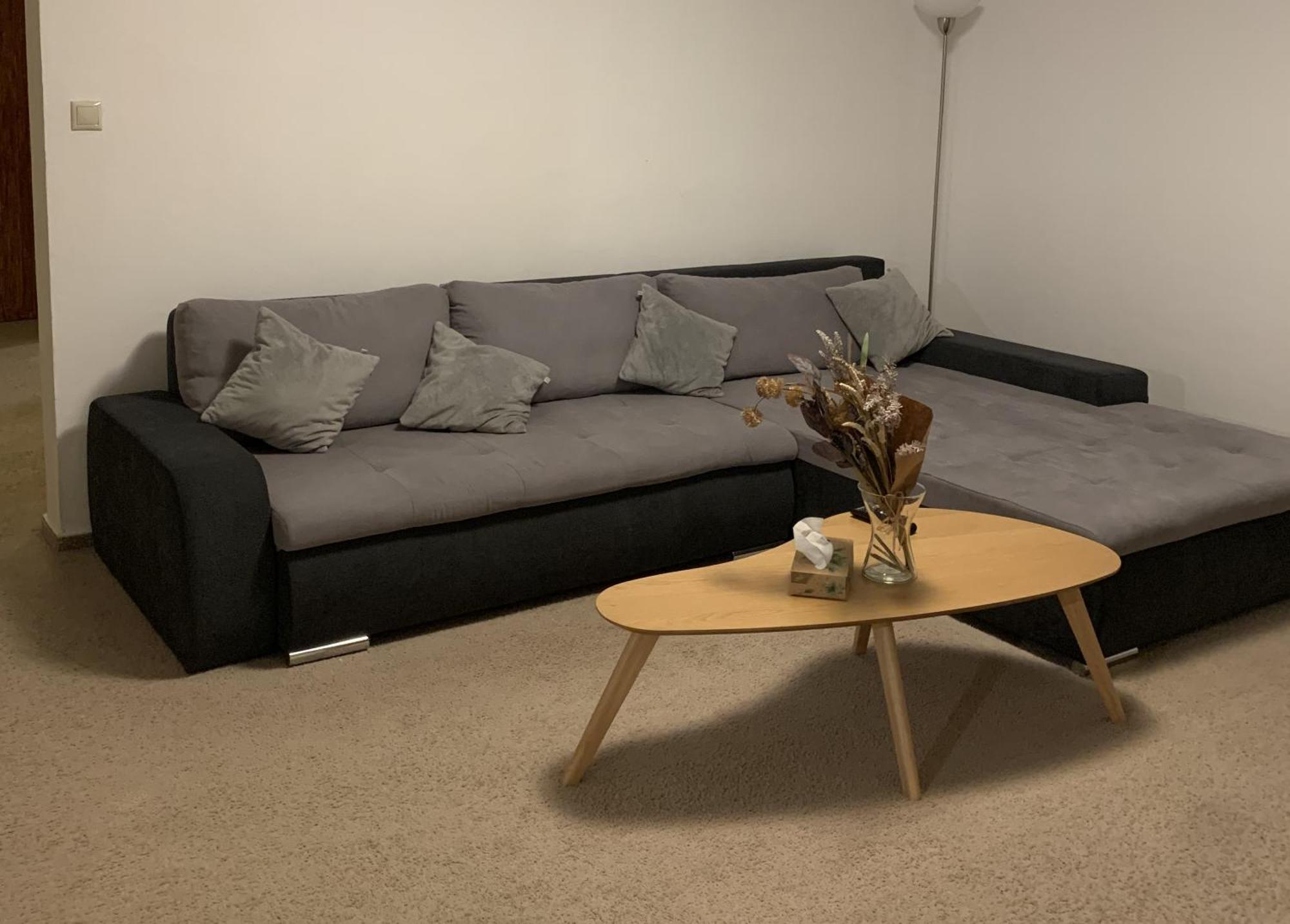 Apartment Rokytnice