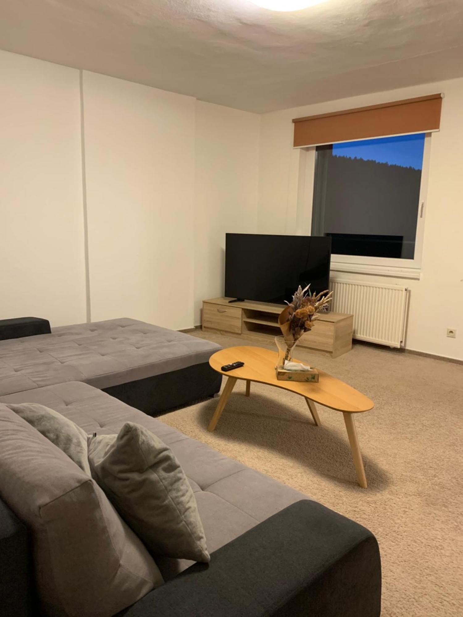 Apartment Rokytnice *